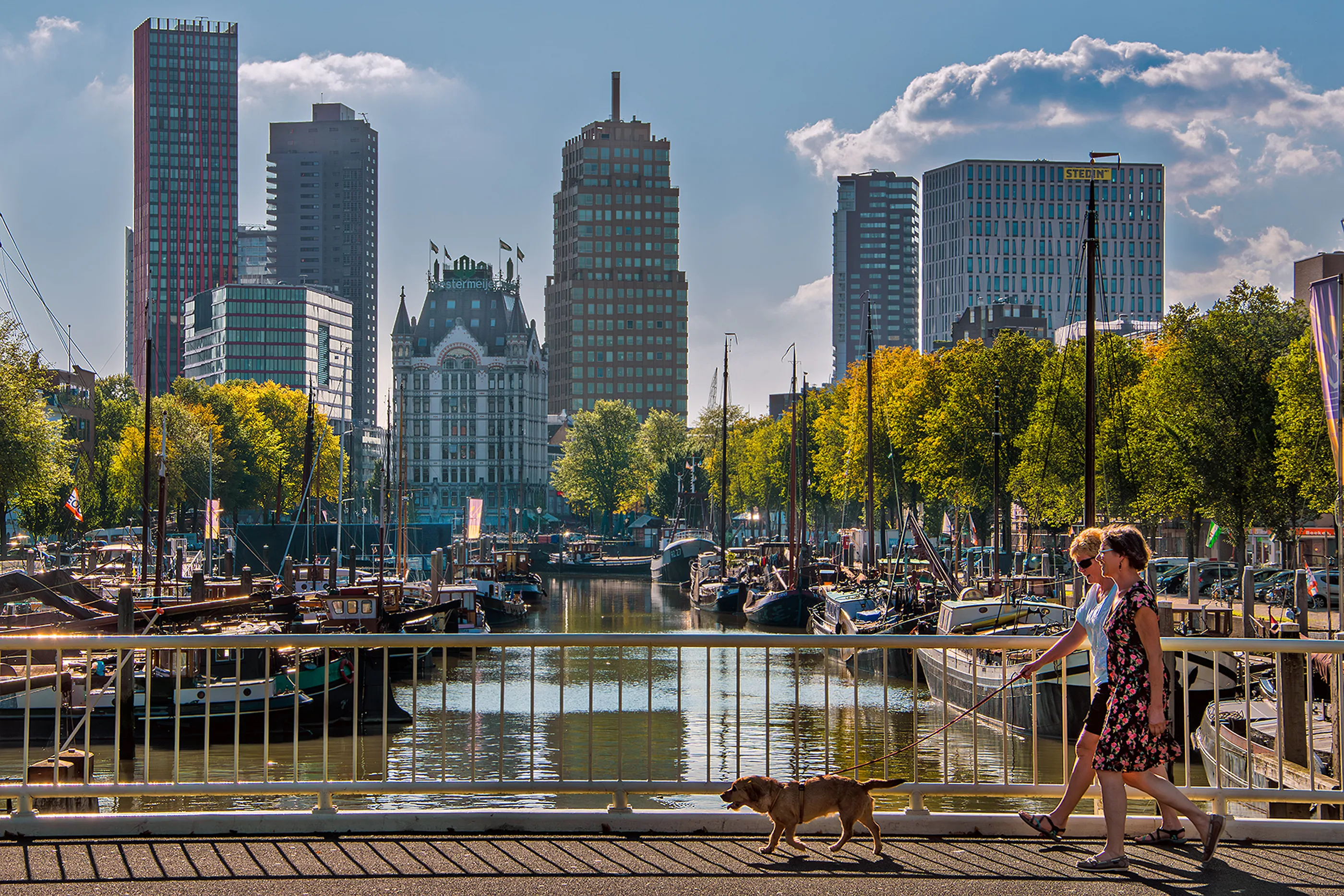 Landscape scene 02 large